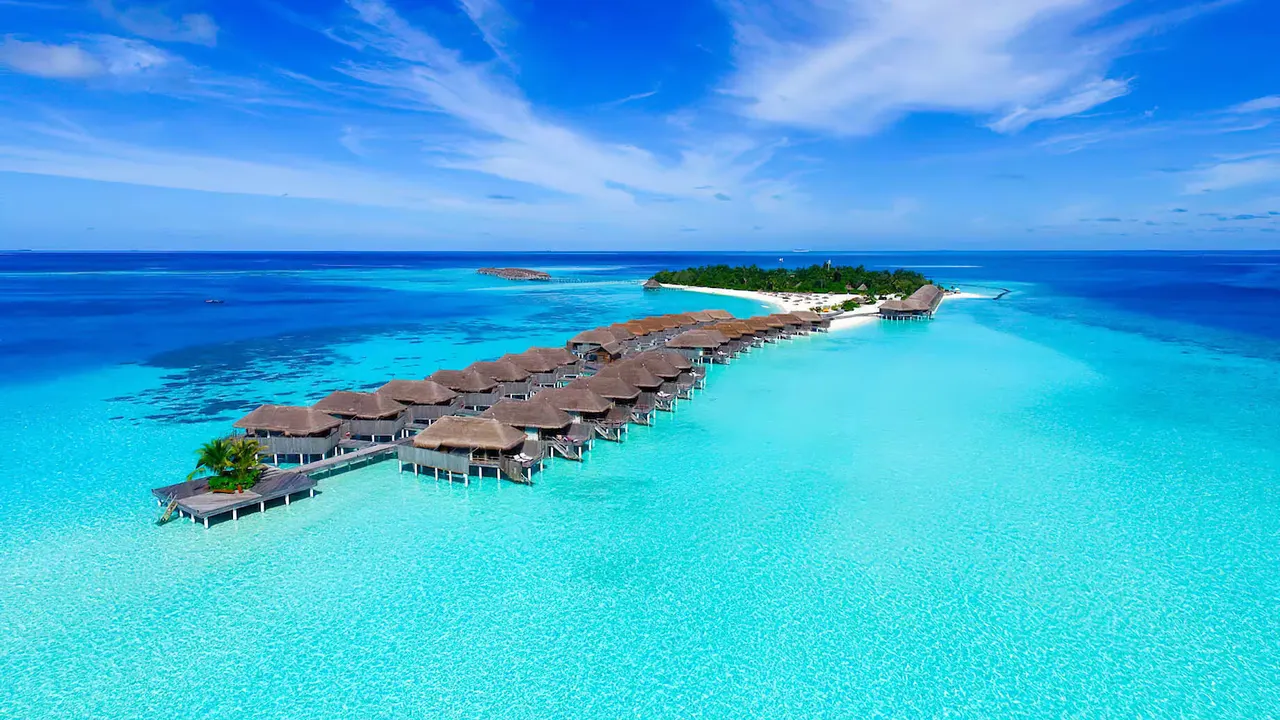 Constance Moofushi — image 48