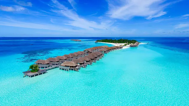 Constance Moofushi — image 48