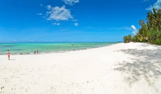 Pongwe Beach Hotel — image 33
