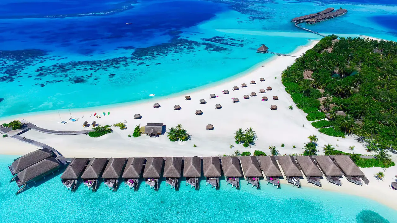Constance Moofushi — image 25