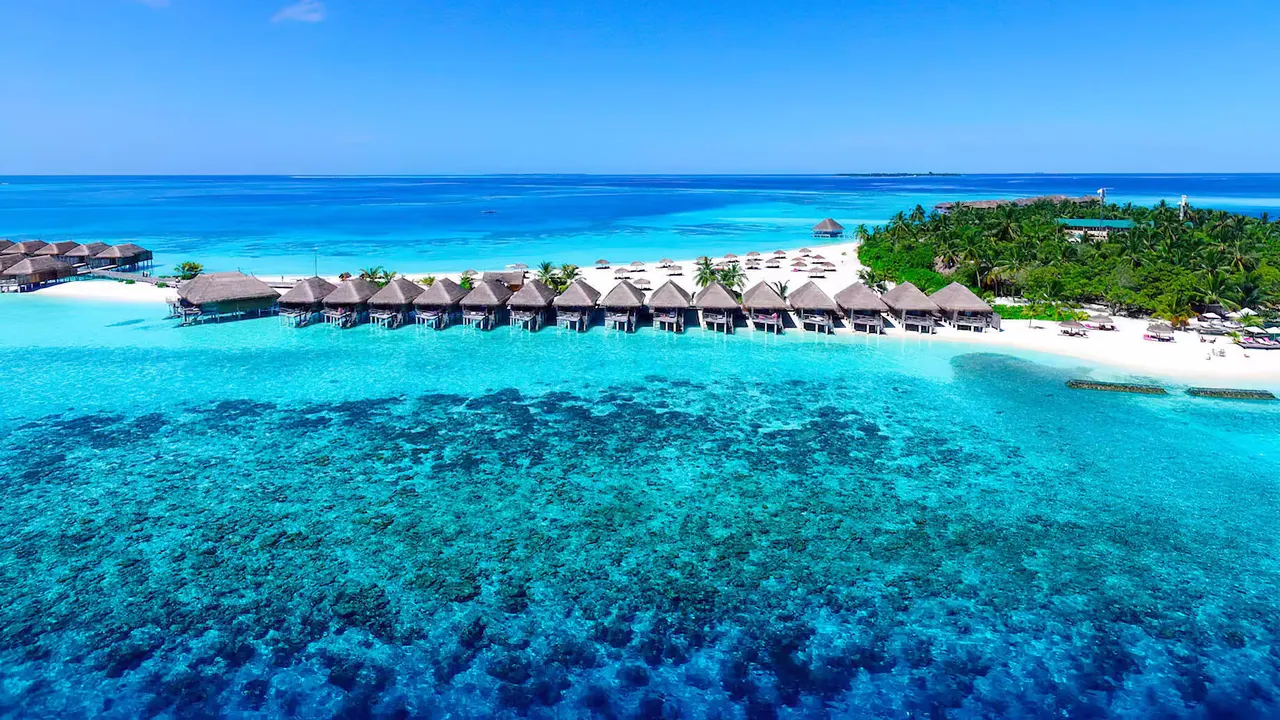 Constance Moofushi — image 15