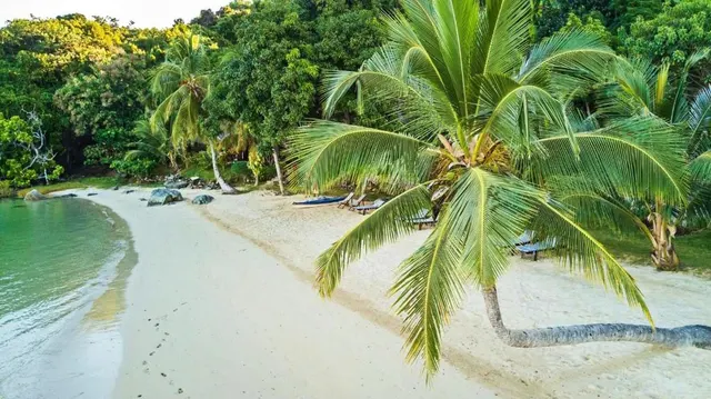 Komba Forever — image 15
