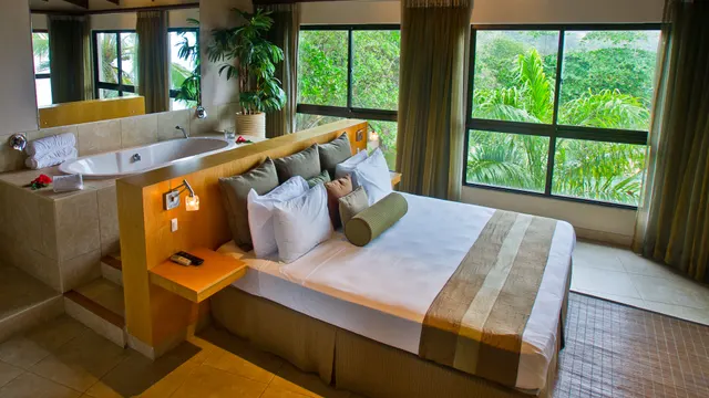 Black Parrot Suites — image 19