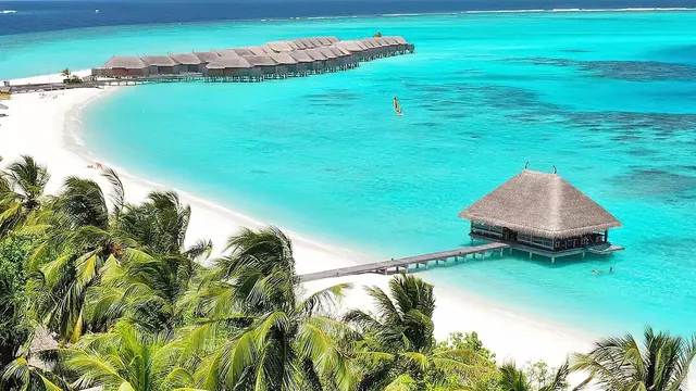 Constance Moofushi — image 51