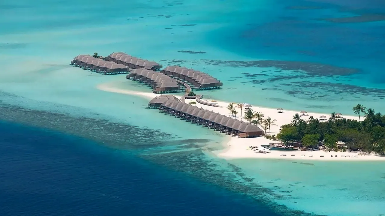 Constance Moofushi — image 17