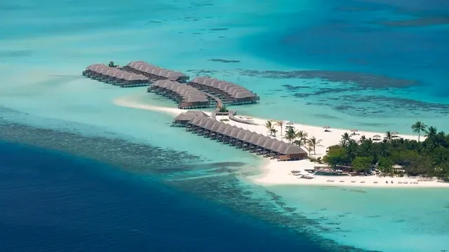 Constance Moofushi — image 17