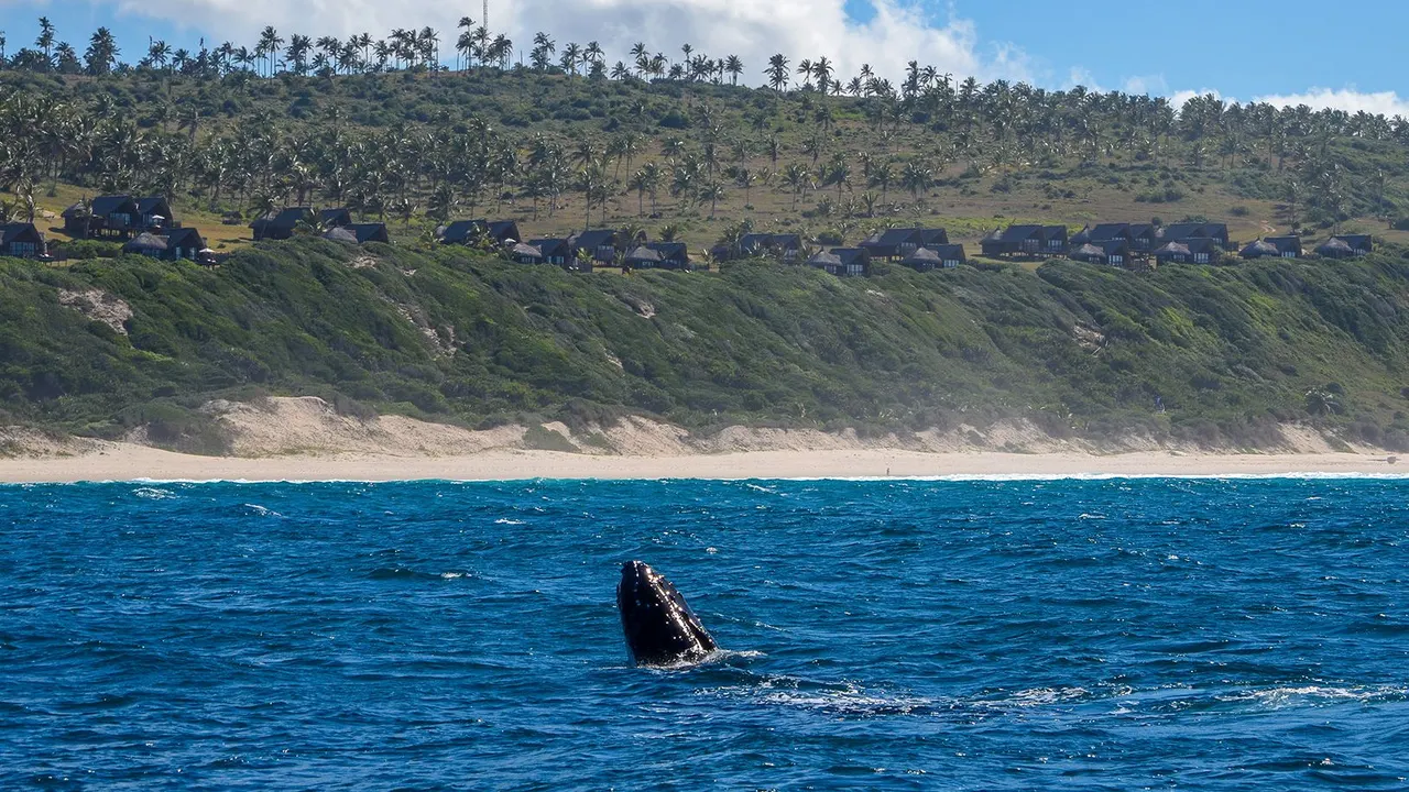 Massinga Beach — image 21