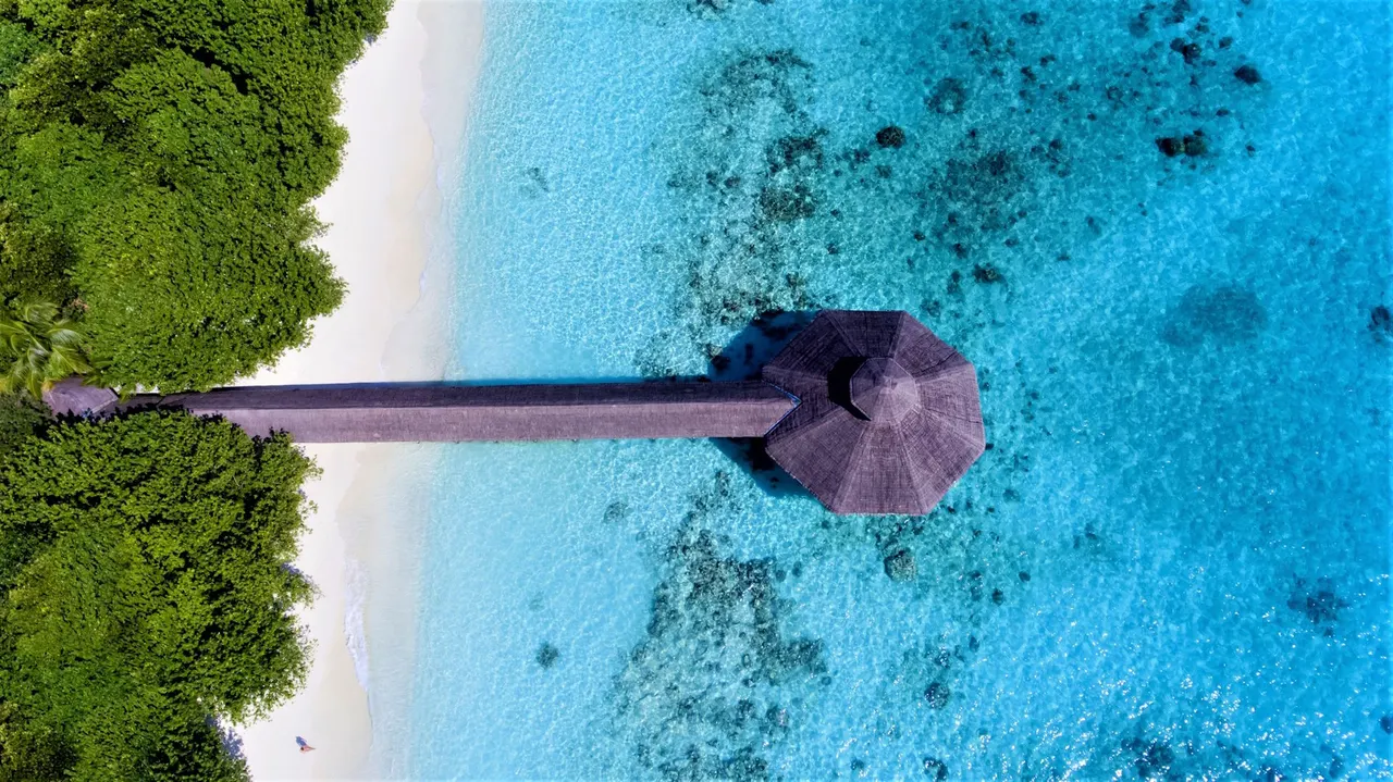 Reethi Beach — image 44