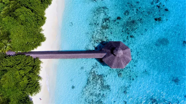 Reethi Beach — image 44