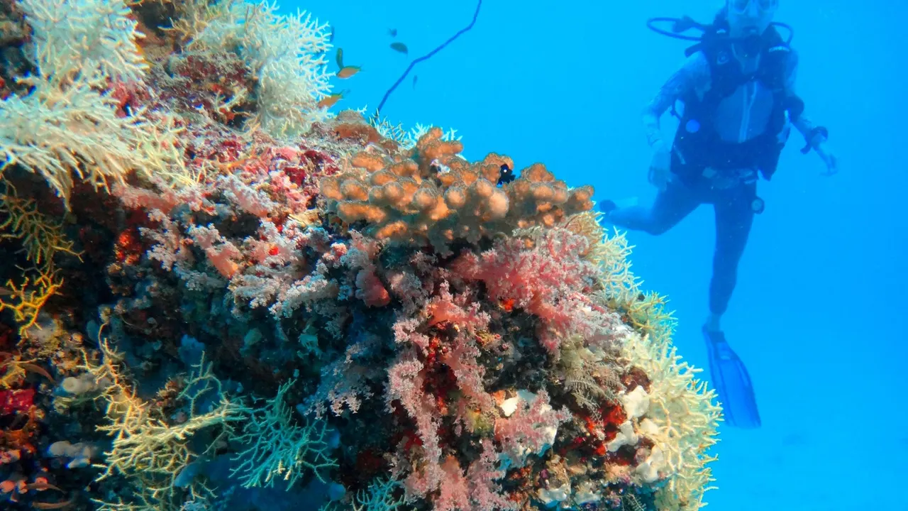 Reethi Beach — image 15