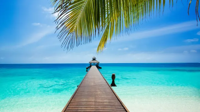 Reethi Beach — image 43