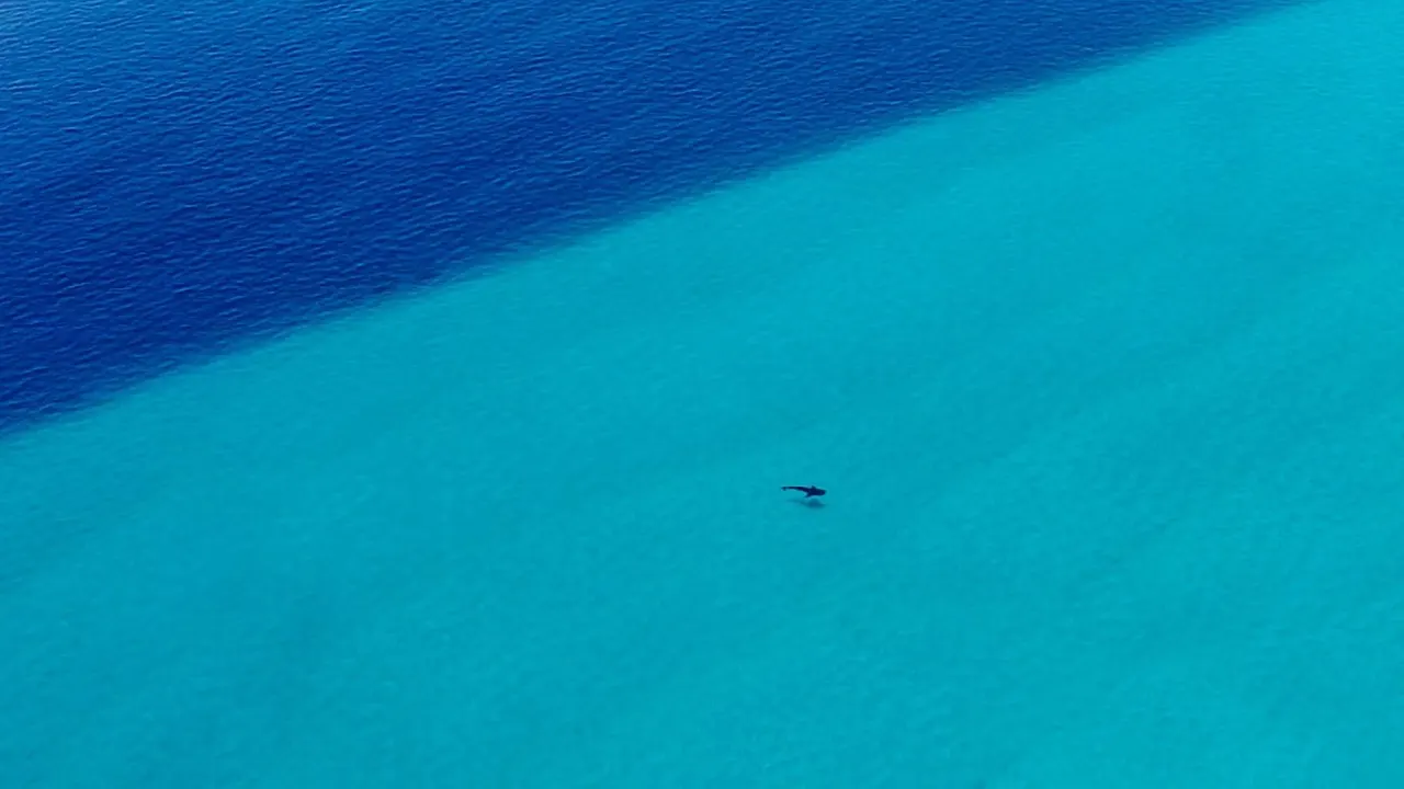 Butiama Beach — image 21