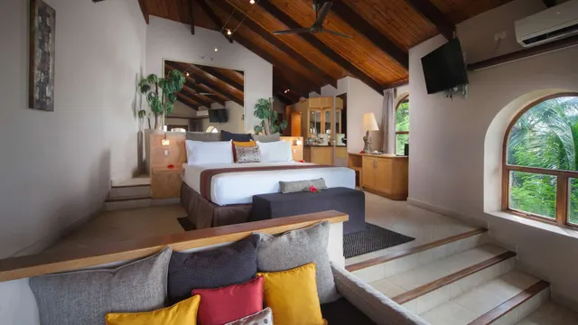 Black Parrot Suites — image 23