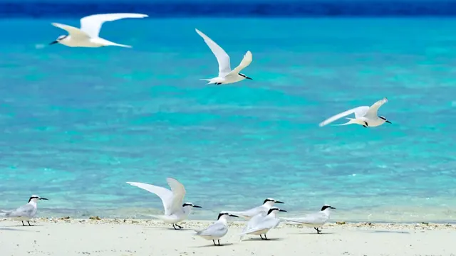Constance Moofushi — image 36
