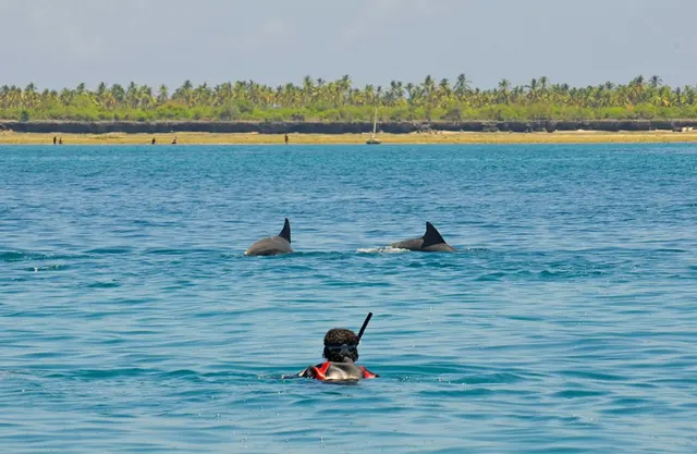 Fanjove Island — image 22
