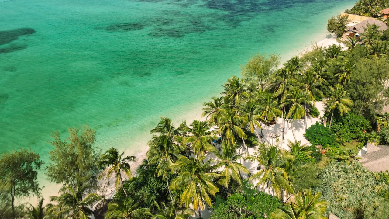 Pongwe Beach Hotel — image 9
