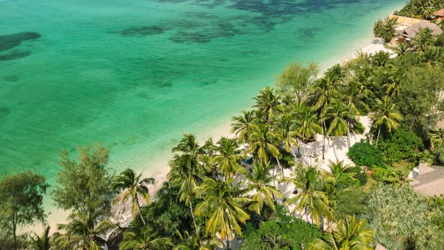 Pongwe Beach Hotel — image 9