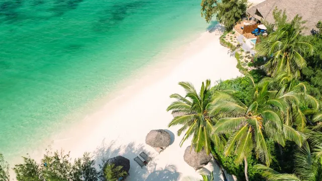 Pongwe Beach Hotel — image 17