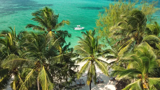 Pongwe Beach Hotel — image 5