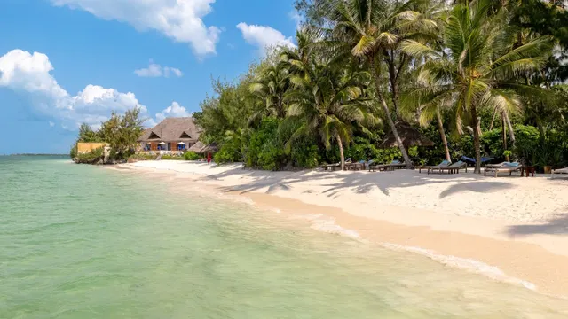 Pongwe Beach Hotel — image 29