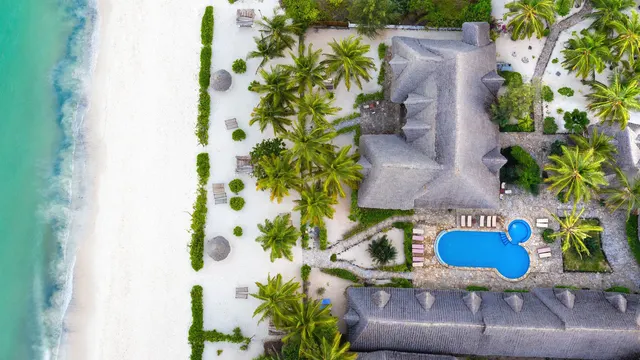 Next Paradise — image 20