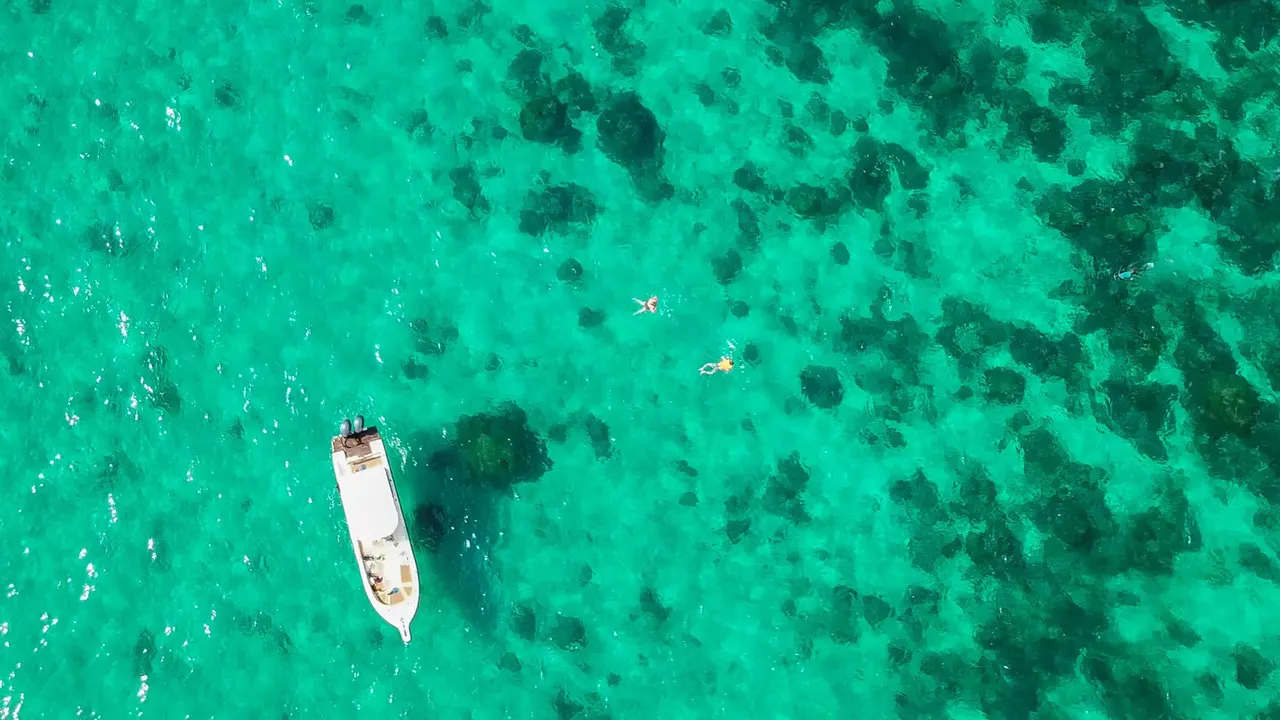 Bahia Mar — image 22