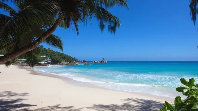 Anse Soleil Beachcomber — image 32