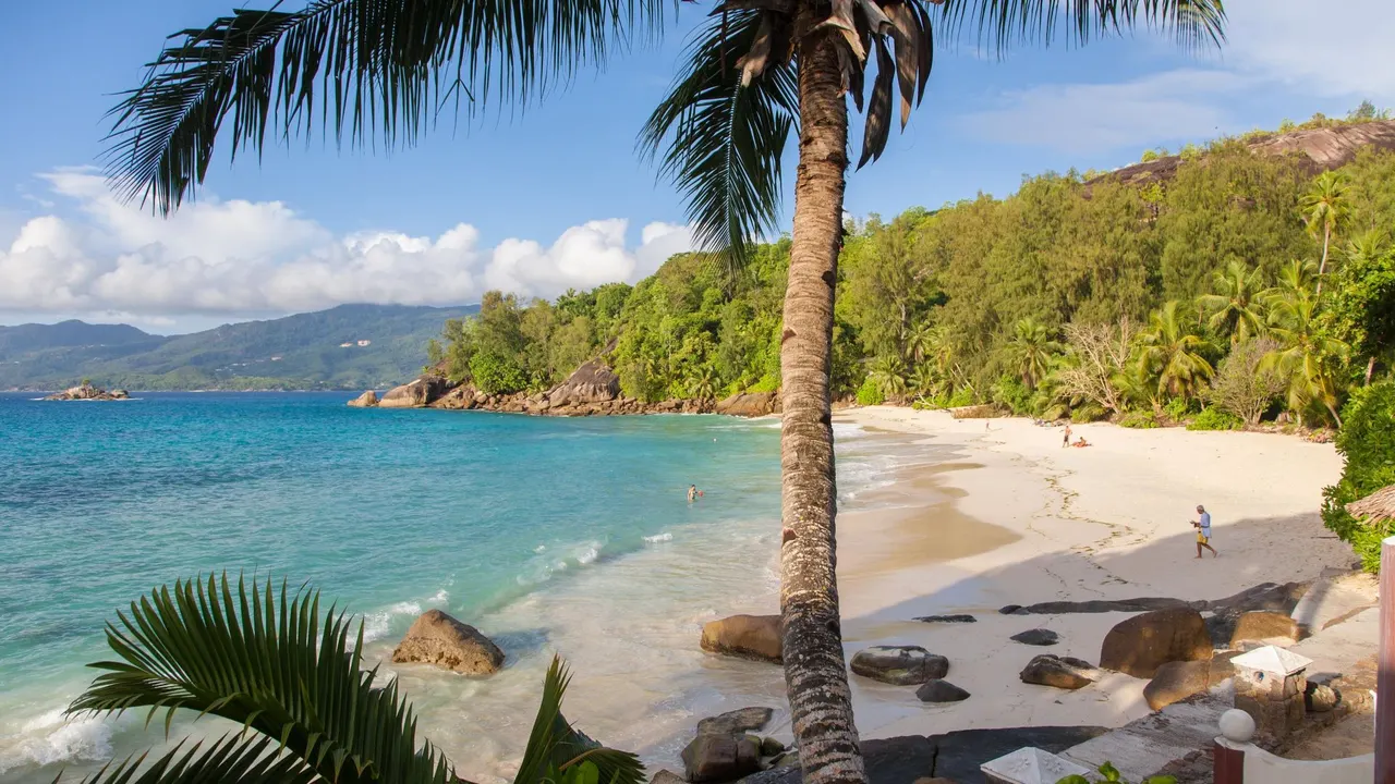 Anse Soleil Beachcomber — image 9