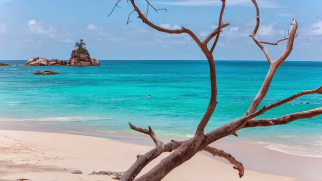 Anse Soleil Beachcomber — image 12