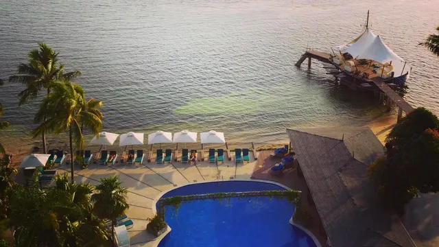 Coco de Mer — image 14