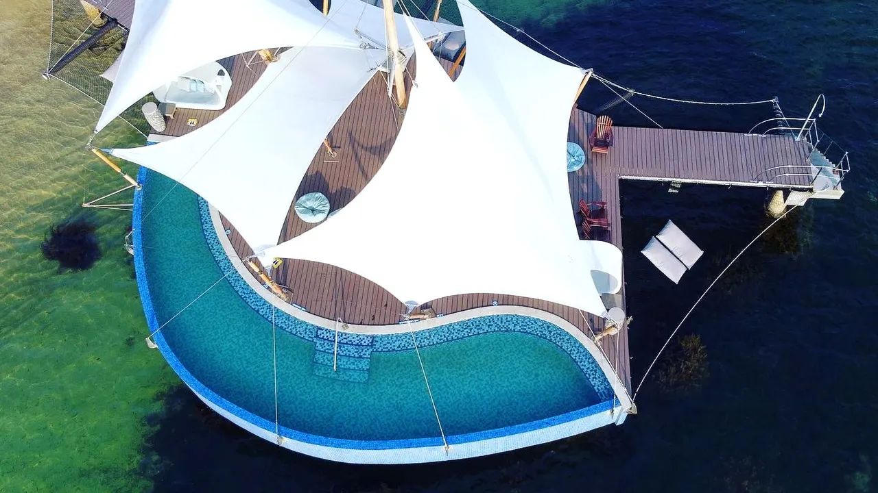 Coco de Mer — image 6