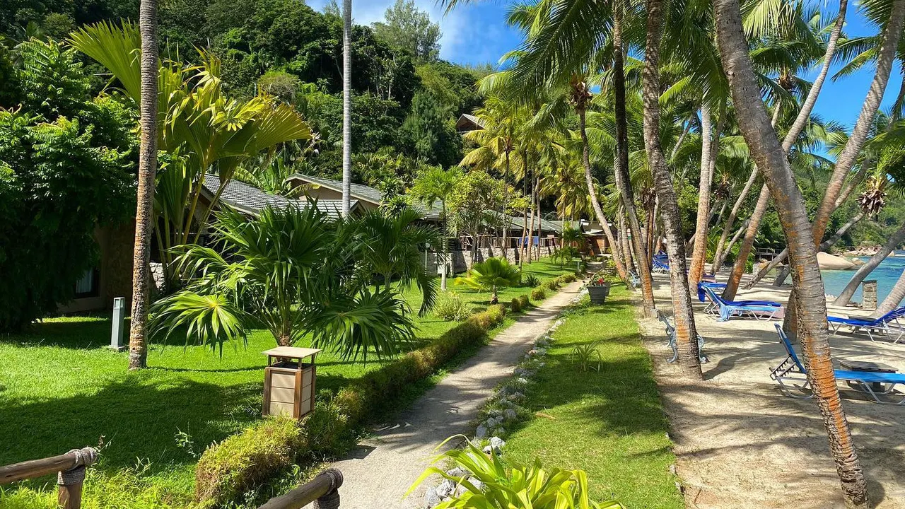 Coco de Mer — image 24