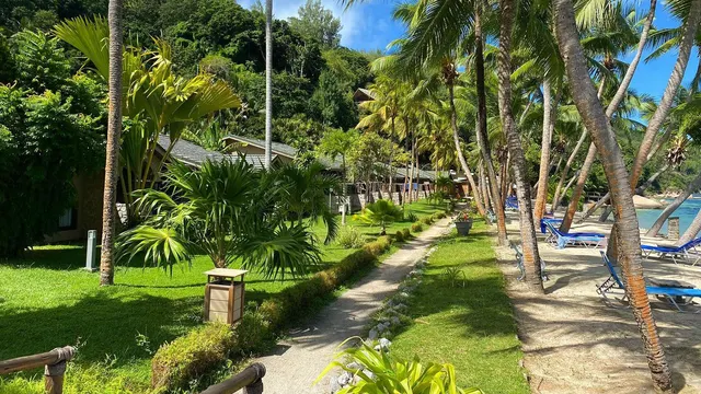 Coco de Mer — image 24