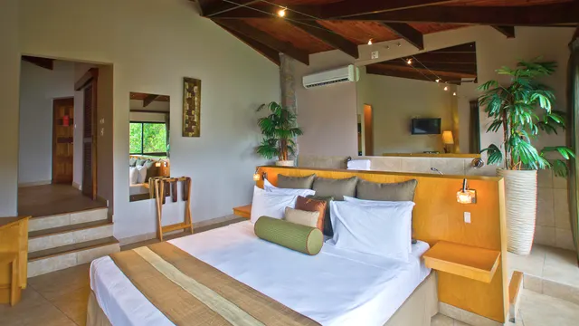 Black Parrot Suites — image 24