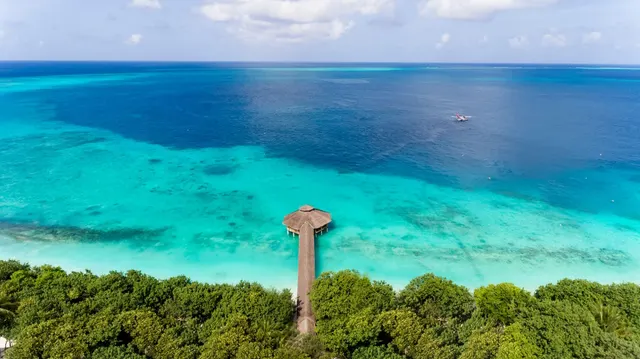 Reethi Beach — image 32