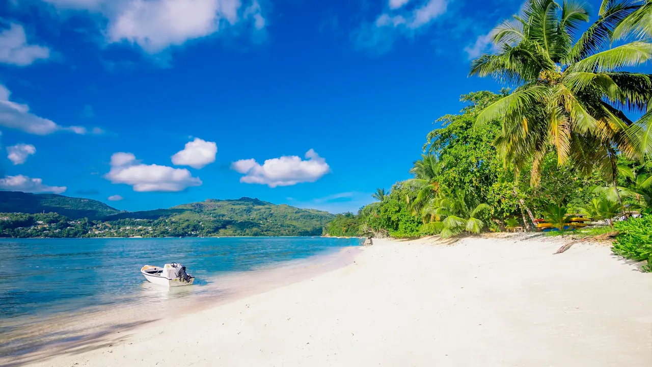 Pineapple Beach Villas — image 16