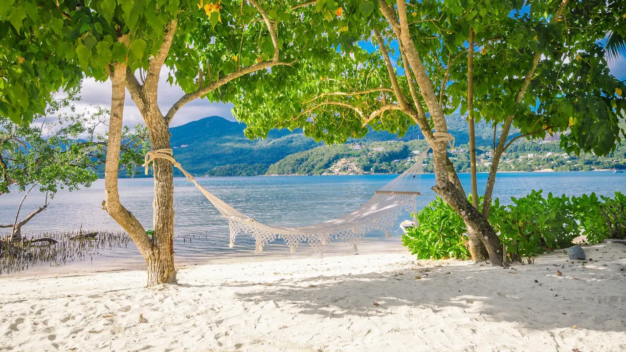 Pineapple Beach Villas — image 13