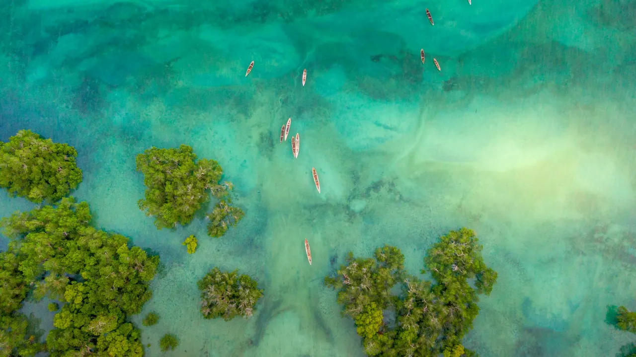 Fundu Lagoon — image 30