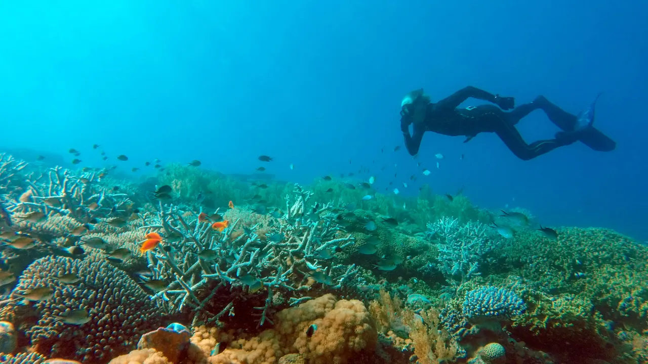 Fanjove Island — image 7