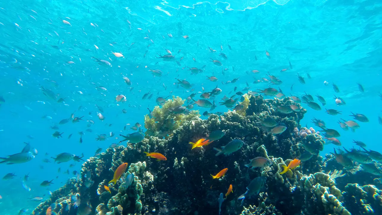 Fanjove Island — image 11