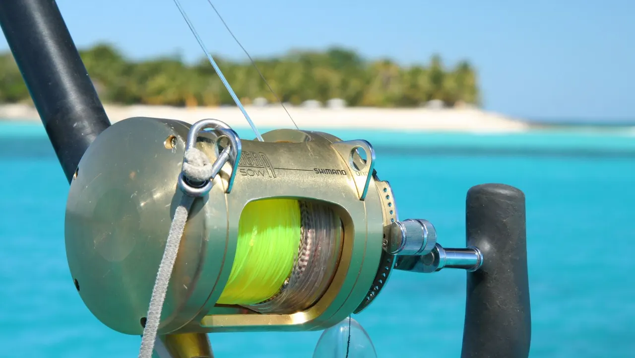 Cruising by Catamaran — image 7