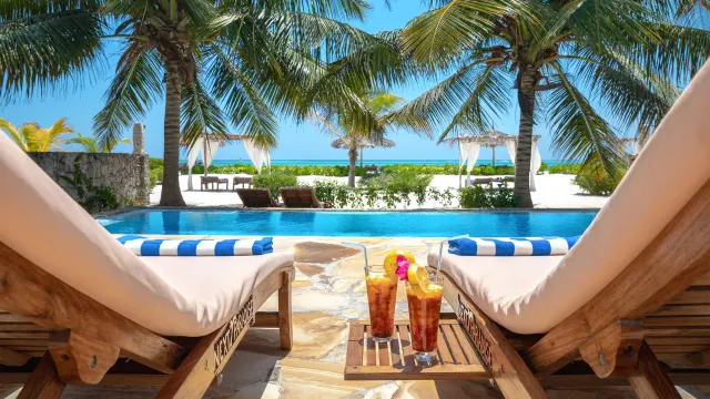 Next Paradise