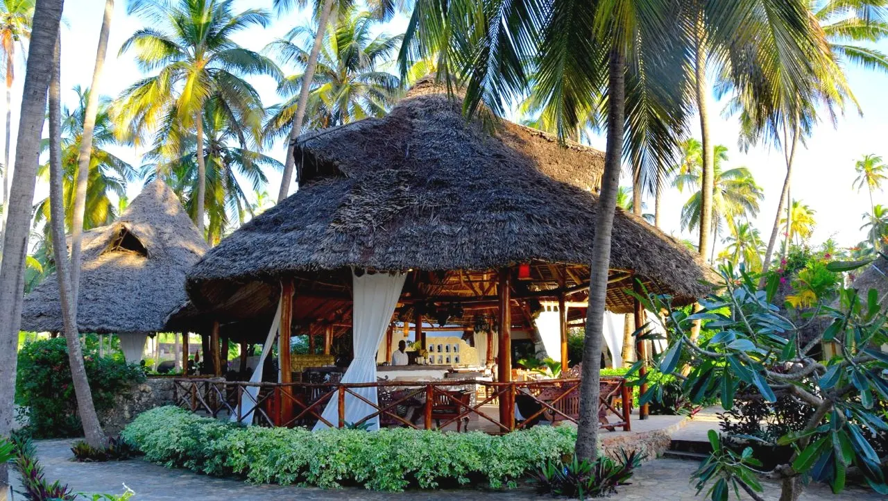 Next Paradise — image 15