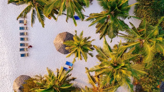 Pongwe Beach Hotel