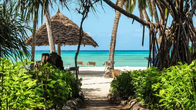 Pongwe Beach Hotel — image 18