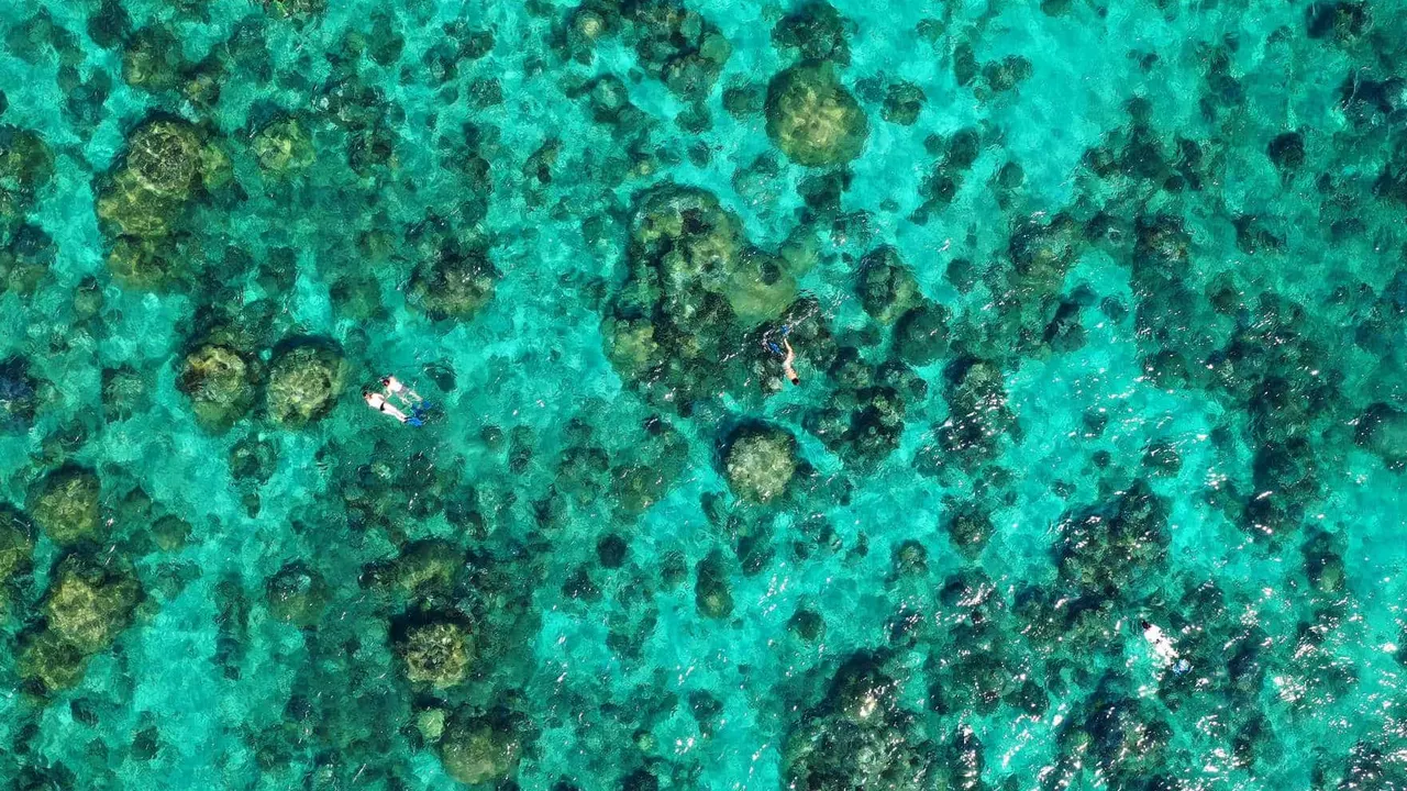 Vilanculos Beach Lodge — image 16