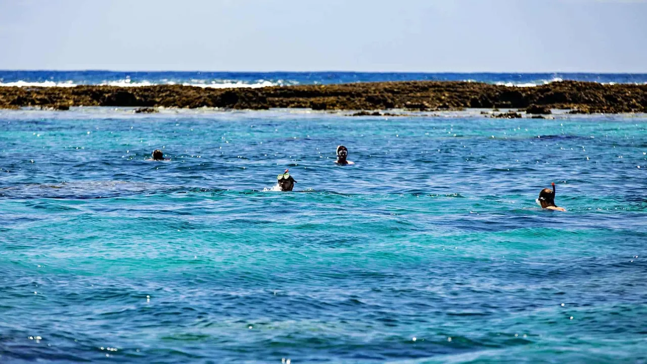 Vilanculos Beach Lodge — image 32