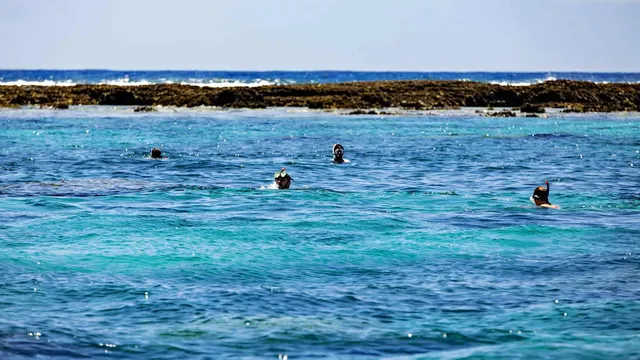 Vilanculos Beach Lodge — image 32