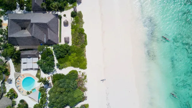 Zanzibar Pearl — image 9