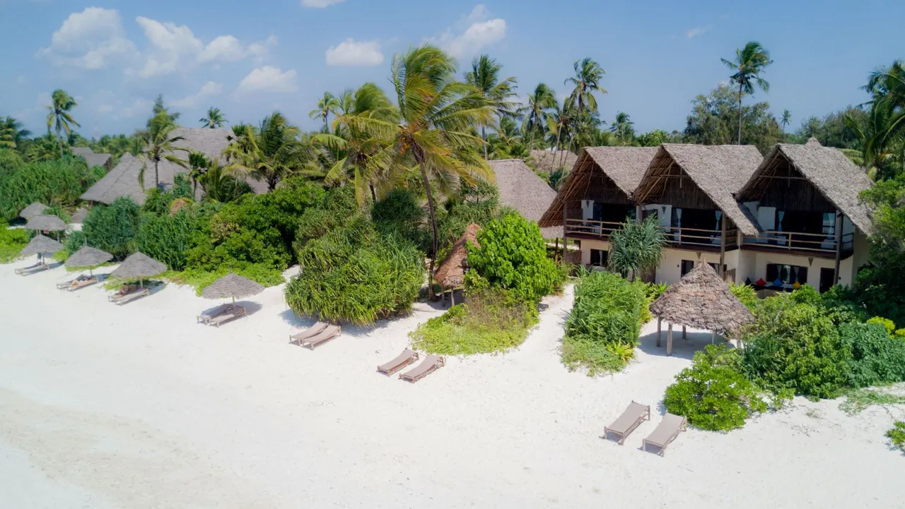 Zanzibar Pearl — image 12